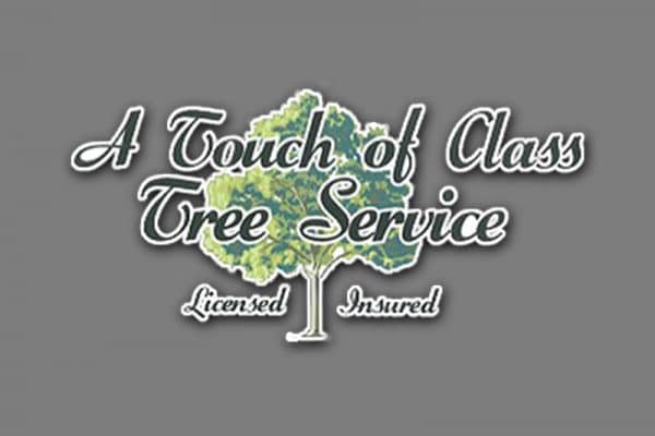 Best Tree Trimming Service Denver CO